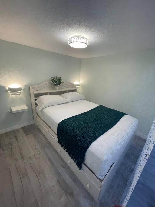 The Tiny Cottage In The Springs/ Central Fl 알타몬테 스프링스 외부 사진