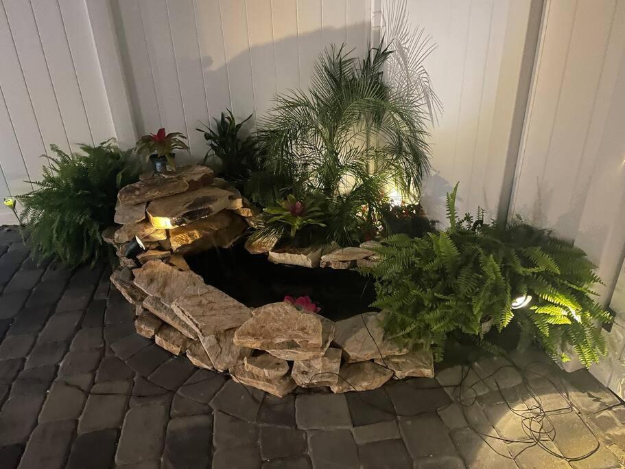 The Tiny Cottage In The Springs/ Central Fl 알타몬테 스프링스 외부 사진